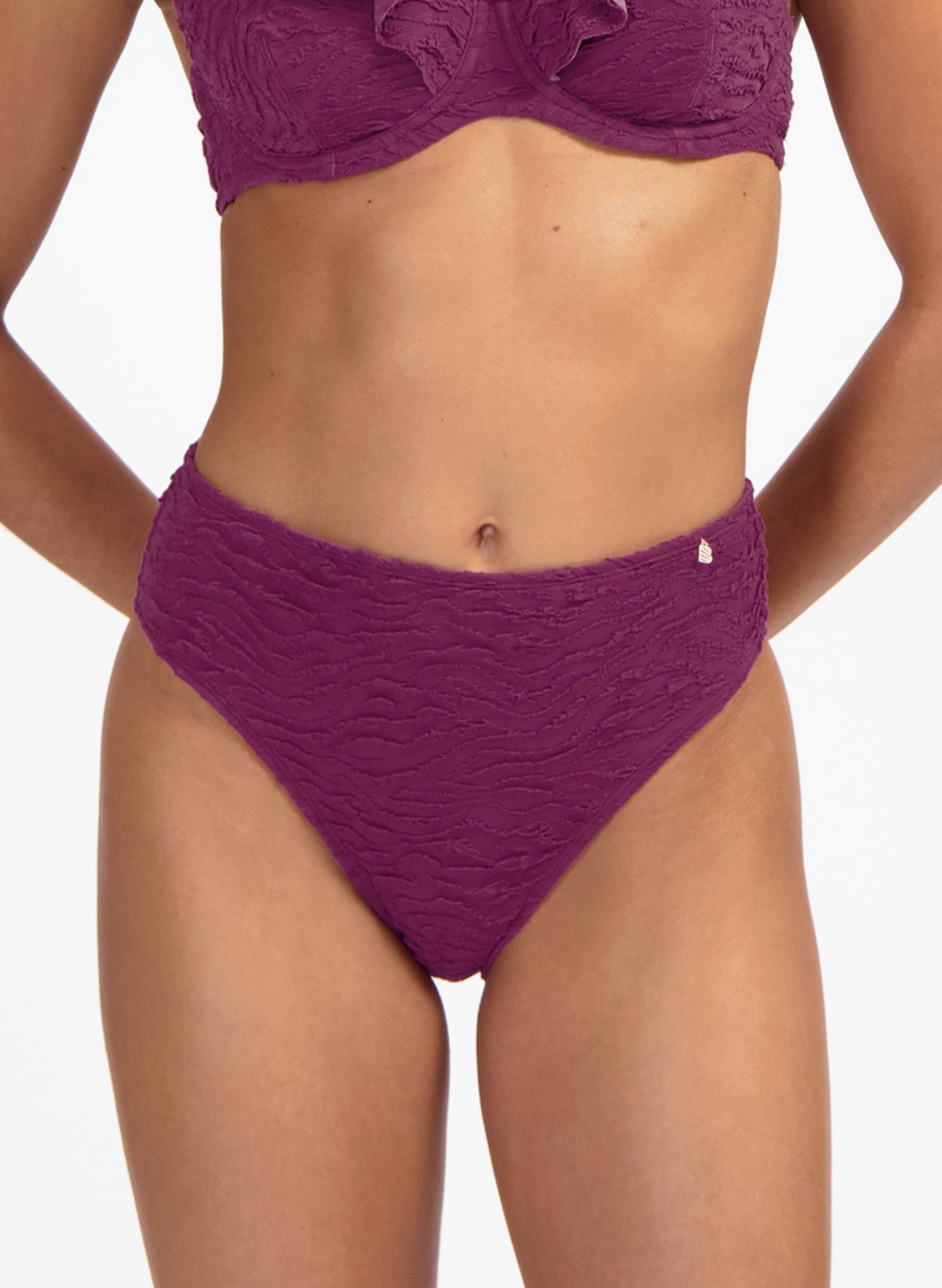 High Waist Bikinibroekje - Violet
