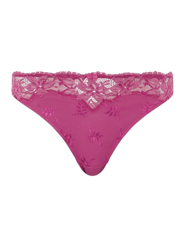CO BO. BRIEF Mary Femilet