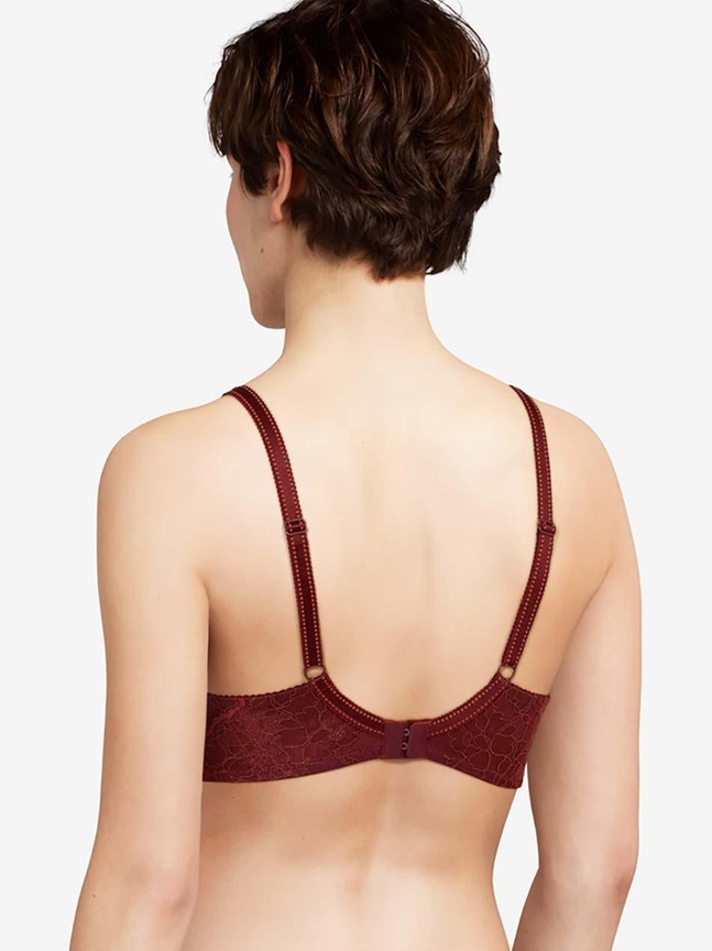 Voorgevormde BH Donna Stripe Lace Cup B-E Stripe Lace Livera