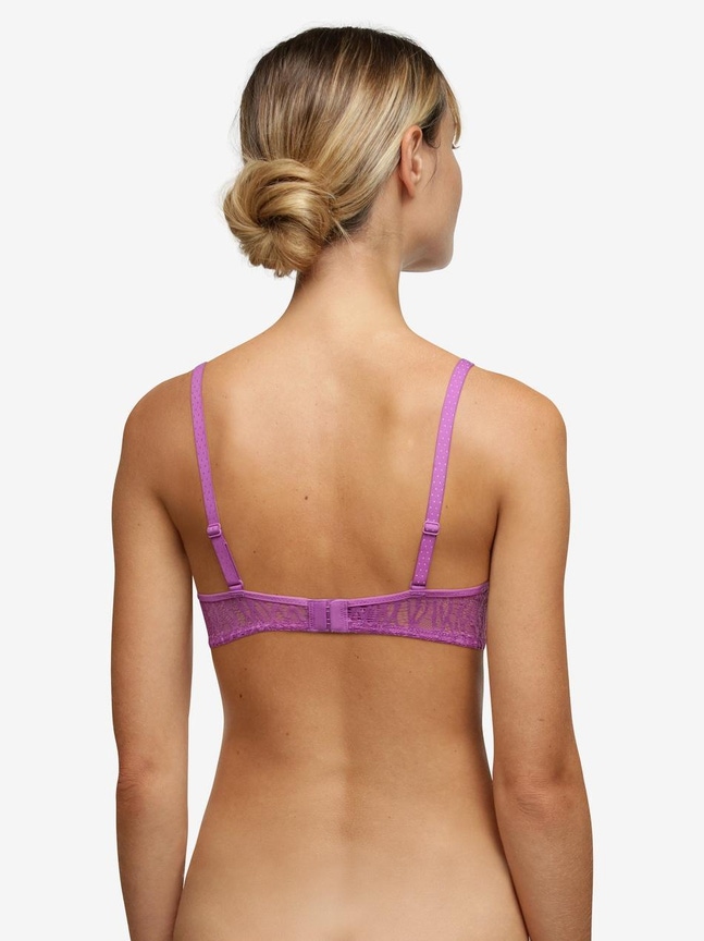 Push-up BH Ironic Livera