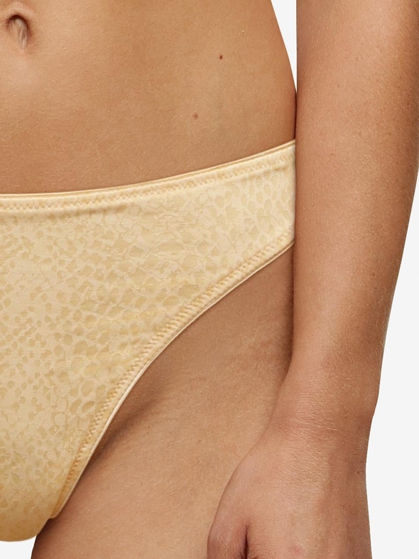 Livera | Cotton - String
