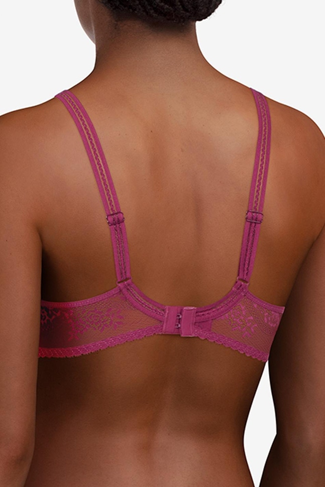 Voorgevormde Memory BH Maddie Cup B-F Maddie Passionata