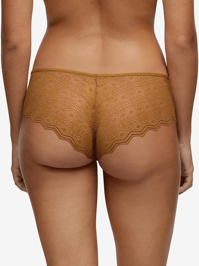 Shorty Georgia Passionata